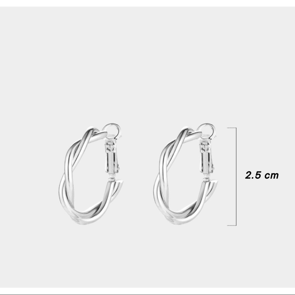Twisted Circular Silver Earrings - Picture 7 of 8